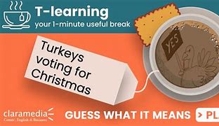 turkeys voting for christmas